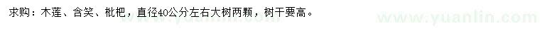 求购木莲、含笑、枇杷