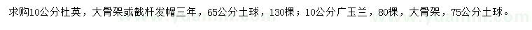 求购10公分杜英、广玉兰