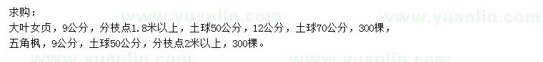 求购9、12公分大叶女贞、9公分五角枫