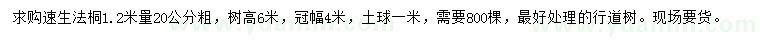 求购1.2米量20公分速生法桐