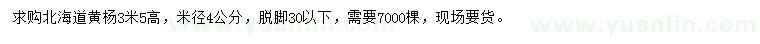 求购高3.5米北海道黄杨