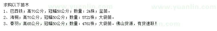 求购巴西铁、海桐、春羽