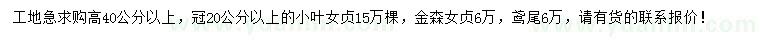 求购小叶女贞、金森女贞、鸢尾