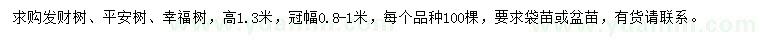 求购发财树、平安树、幸福树