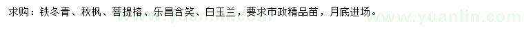 求购铁冬青、秋枫、菩提榕等