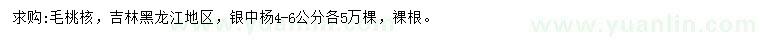 求购毛桃核、4-6公分银中杨