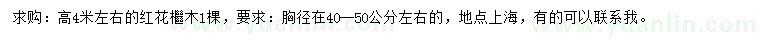求购高4米左右红花檵木