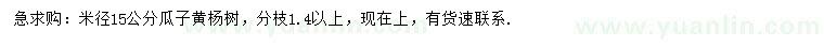 求购米径15公分瓜子黄杨