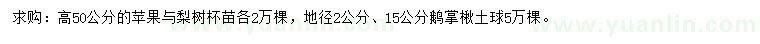 求购苹果苗、梨树苗、鹅掌楸