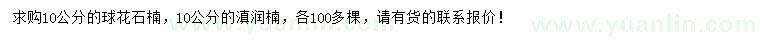 求购10公分球花石楠、滇润楠