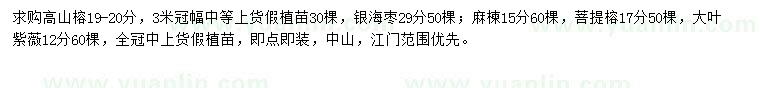 求购高山榕、银海枣、麻楝等