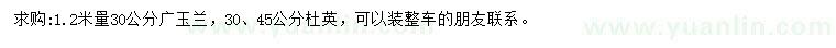 求购1.2米量30公分广玉兰、30、45公分杜英