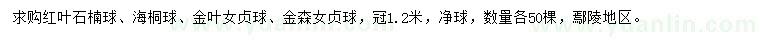 求购红叶石楠球、海桐球、金叶女贞球等