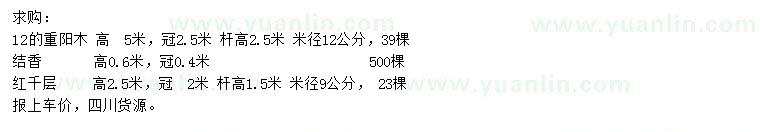 求购重阳木、结香、红千层