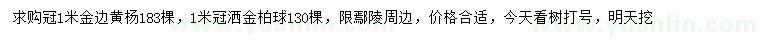 求购冠1米金边黄杨、洒金柏球