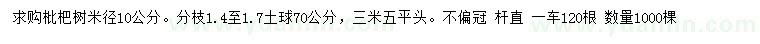 求购米径10公分枇杷树