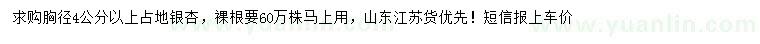 求购胸径4公分以上银杏