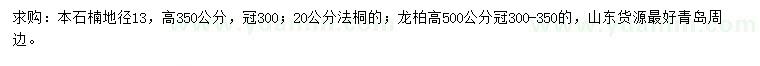 求购本石楠、法桐、龙柏