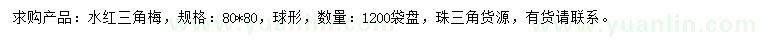 求购80X80水红三角梅