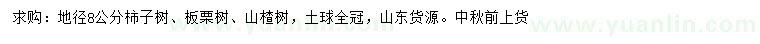 求购柿子树、板栗树、山楂树