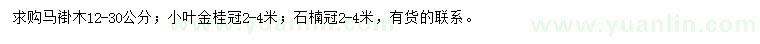 求购马褂木、小叶金桂、石楠