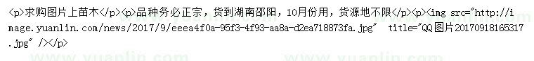 求购珙桐、柏乐树、银杉等