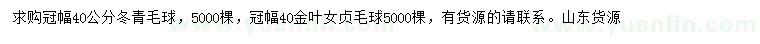 求购冠幅40公分冬青毛球、金叶女贞毛球