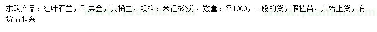 求购红叶石兰、千层金、黄桷兰