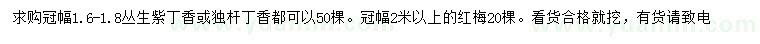 求购丛生紫丁香、独杆丁香、红梅