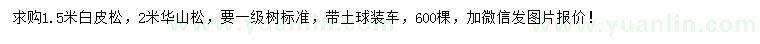 求购1.5米白皮松、2米黄山松