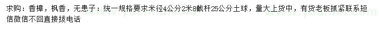 求购香樟、枫香、无患子