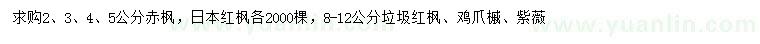 求购赤枫、日本红枫、鸡爪槭等