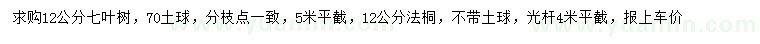 求购12公分七叶树、法桐