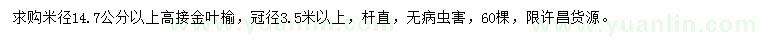 求购米径15公分高接金叶榆