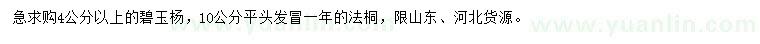 求购4公分以上碧玉杨、10公分法桐