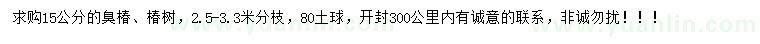 求购15公分臭椿、椿树