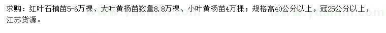 求购红叶石楠苗、大叶黄杨苗、小叶黄杨苗