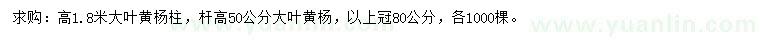 求购高1.8米大叶黄杨柱，杆高50公分大叶黄杨