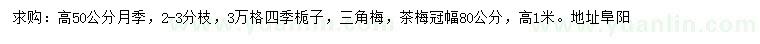 求购月季、四季栀子、三角梅等