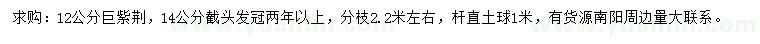 求购12、14公分巨紫荆