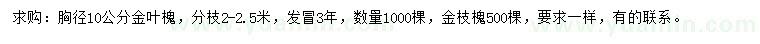 求购胸径10公分金叶槐、金枝槐