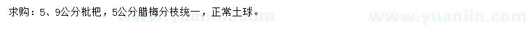 求购5、9公分枇杷、5公分腊梅