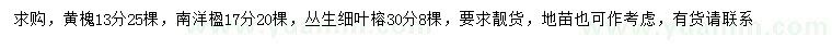 求购黄槐、南洋楹、丛生细叶榕