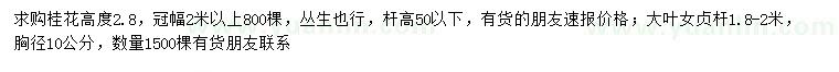 求购高2.8米桂花、胸径10公分大叶女贞