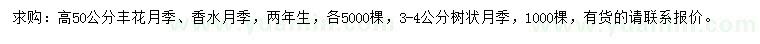 求购丰花月季、香水月季、树状月季