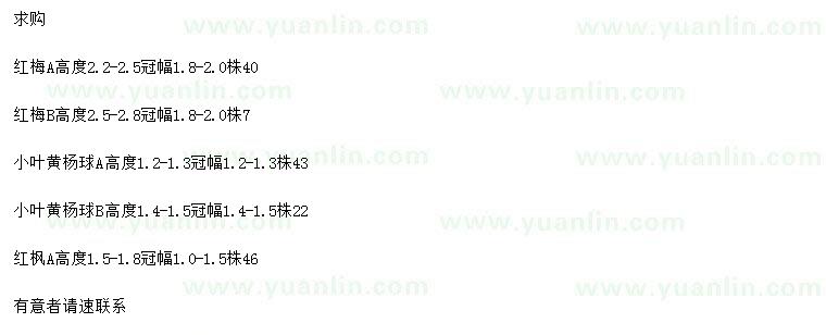 求购红梅、小叶黄杨球、红枫