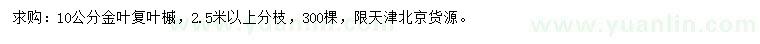 求购10公分金叶复叶槭