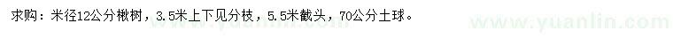 求购米径12公分楸树