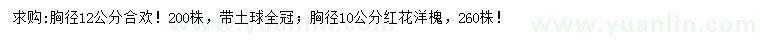 求购胸径12公分合欢、10公分红花洋槐