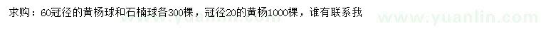 求购黄杨球、石楠球、黄杨